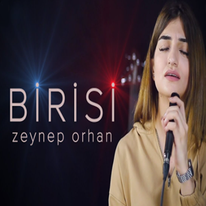 Zeynep Orhan Birisi (2020)
