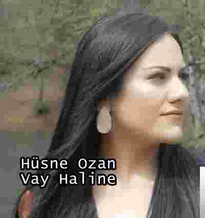Hüsne Ozan Vay Haline (2019)