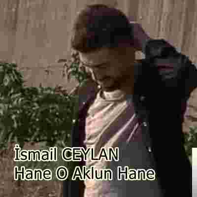 İsmail Ceylan Hane O Aklun Hane (2020)