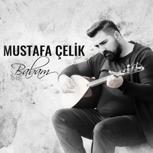 Mustafa Çelik Babam (2016)