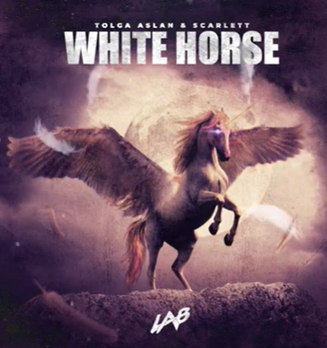 Tolga Aslan White Horse (2021)