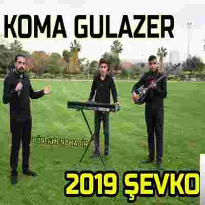 Koma Gulazer Şevko (2019)