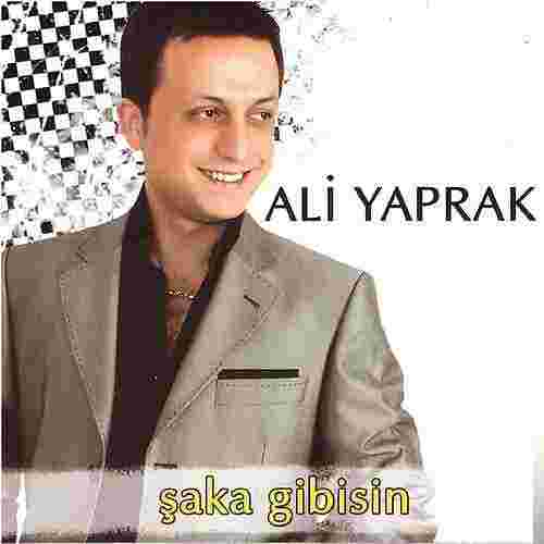 Ali Yaprak Şaka Gibisin (2015)