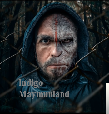 İndigo Maymunland (2019)