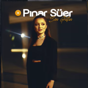 Pınar Süer Sen Gittin (2021)