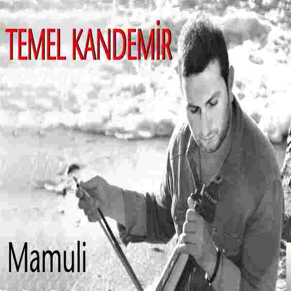 Temel Kandemir Mamuli (2016)