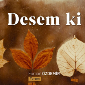 Furkan Özdemir Desem Ki (2019)