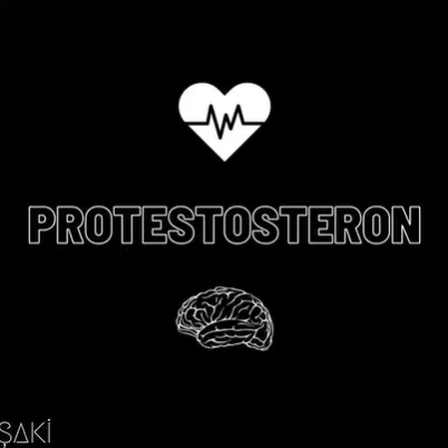 Saki Protestosteron (2021)