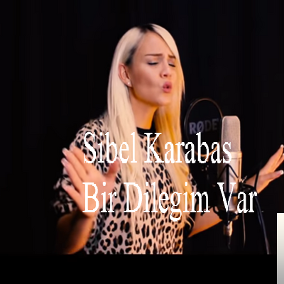 Sibel Karabaş Bir Dileğim Var Senden (2019)