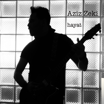 Aziz Zeki Hayat (2019)