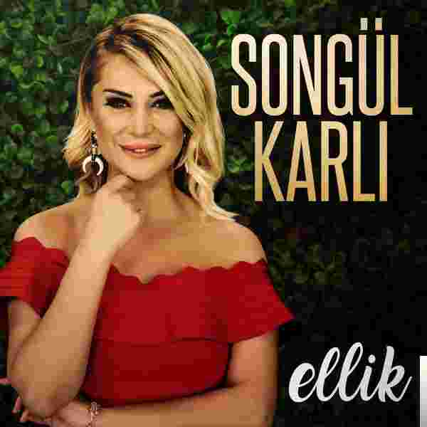 Songül Karlı Ellik (2018)