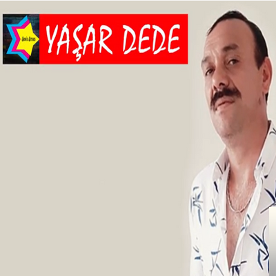Yaşar Dede Nene Kako Roman (2019)
