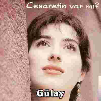 Gülay Cesaretin Var mı Aşka (1995)