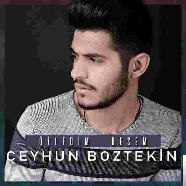 Ceyhun Boztekin Özledim Desem (2018)
