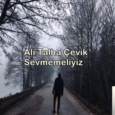 Ali Talha Çevik Sevmemeliyiz (2019)