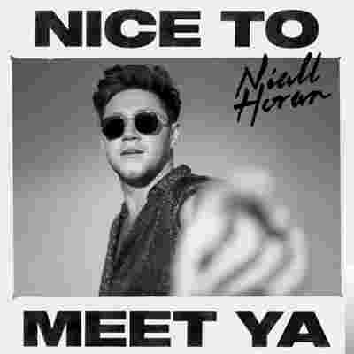 Niall Horan Nice To Meet Ya (2019)