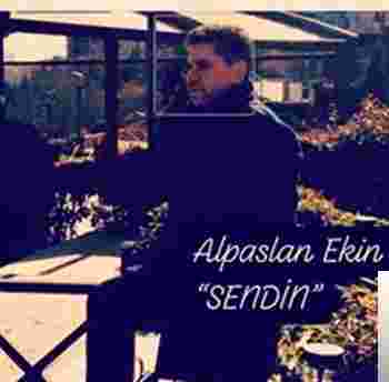 Alpaslan Ekin Sendin (2019)