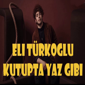 Eli Türkoğlu Kutupta Yaz Gibi (2019)