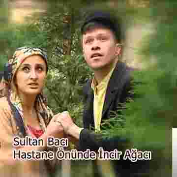 Sultan Bacı Hastane Önünde İncir Ağacı (2020)