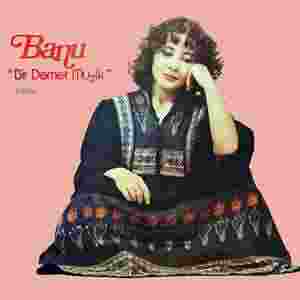 Banu Kırbağ Bir Demet Müzik (1981)