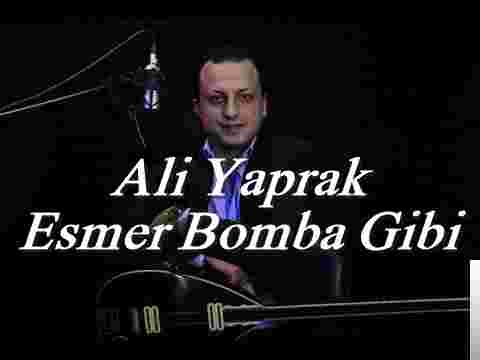 Ali Yaprak Esmer Bomba Gibi (2018)