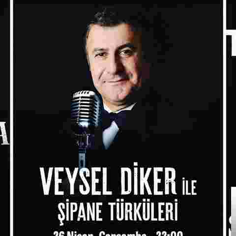 Veysel Diker Şipane Türküleri (2017)