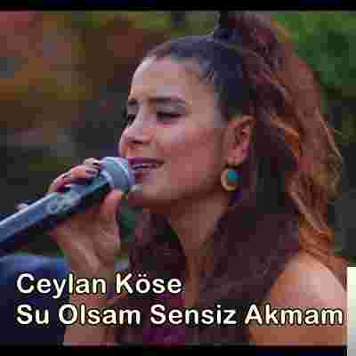 Ceylan Köse Su Olsam Sensiz Akmam (2019)