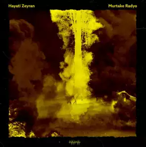 Hayati Zeyran Murtake Radyo (2020)