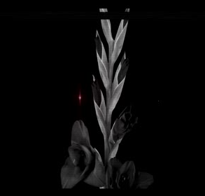 Onur Ensert Kıyamet Çiçeği (2018)