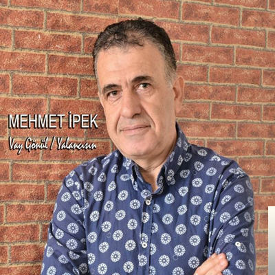 Mehmet İpek Vay Gönül/Yalancısın (2019)