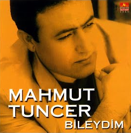 Mahmut Tuncer Bileydim (2006)