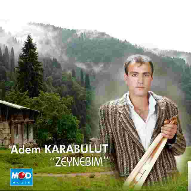 Adem Karabulut Zeynebim (2014)