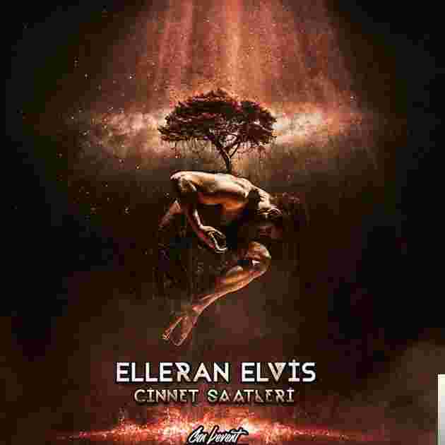 Elleran Elvis Mixtape (2015)