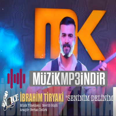 İbrahim Tiryaki Seninim Delinim (2019)