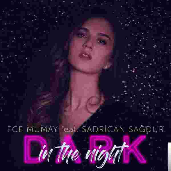 Ece Mumay Dark in the Night (2018)