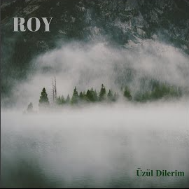 Roy Üzül Dilerim (2020)