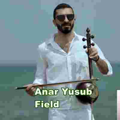 Anar Yusub Field (2019)