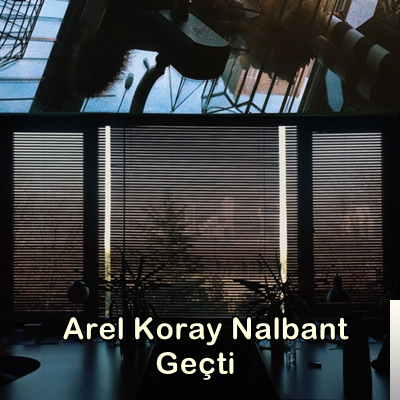 Arel Koray Nalbant Geçti (2019)
