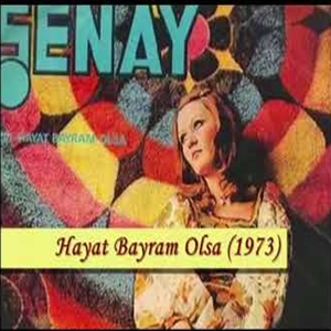 Şenay Hayat Bayram Olsa (1973)