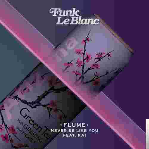Flume Never Be Like You (2018)