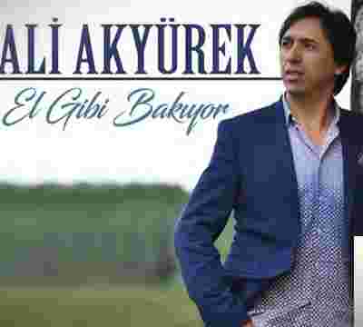 Ali Akyürek El Gibi Bakıyor (2019)
