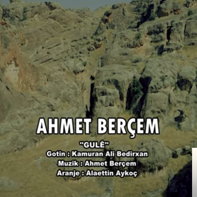 Ahmet Berçem Gule (2019)