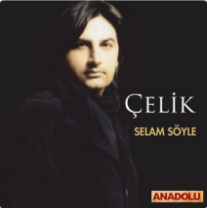 Çelik Selam Söyle (2013)