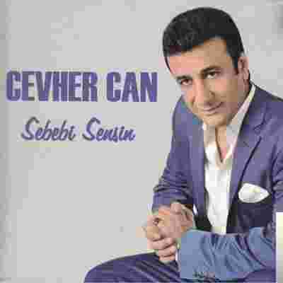 Cevher Can Sebebi Sensin (2014)