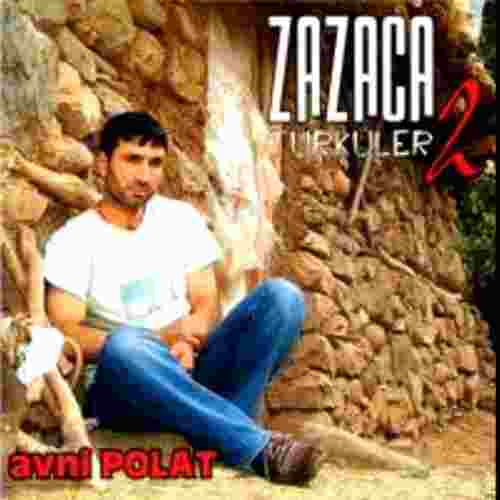 Avni Polat Zazaca Türküler 2 (2004)