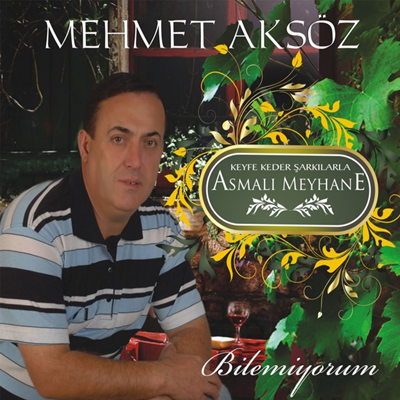 Mehmet Aksöz Bilemiyorum (2020)