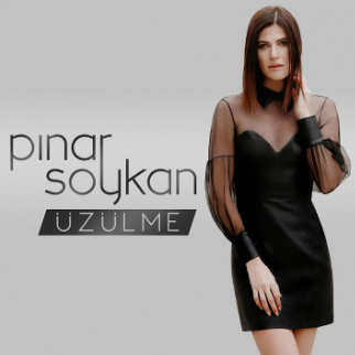 Pınar Soykan Üzülme (2019)