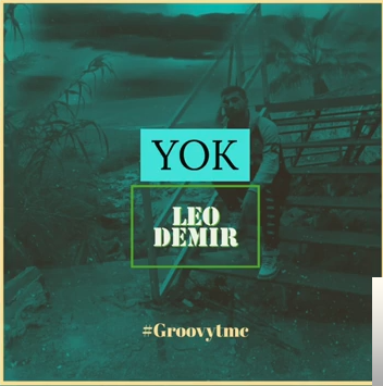 Leo Demir Yok (2019)