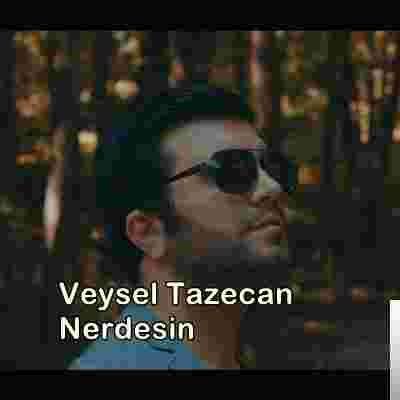Veysel Tazecan Nerdesin (2019)