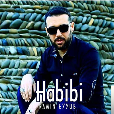 Ramin Eyyub Habibi (2020)